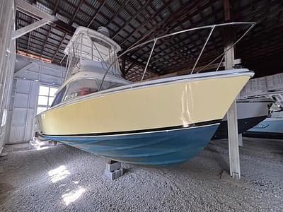 BOATZON | Bertram 31 1972 BOATZON | Bertram 31 1972