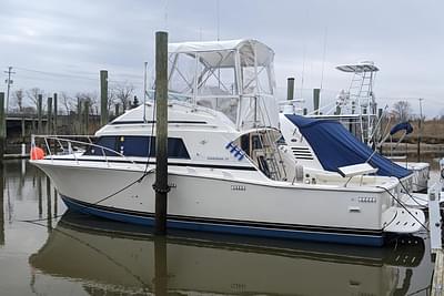 BOATZON | Bertram 33 Sport Fisherman 1989