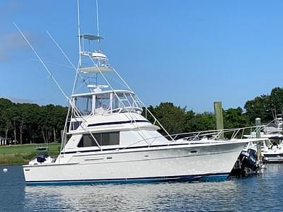 BOATZON | Bertram 42 Convertible 1985