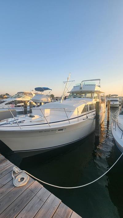 BOATZON | Bertram 42 Flybridge Motor Yacht 1977