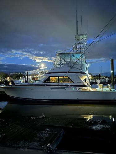 BOATZON | Bertram 43 Convertible