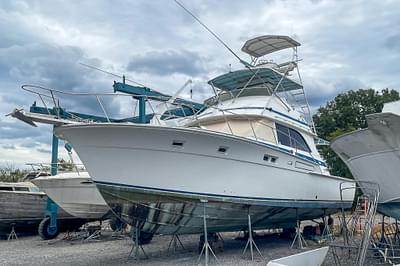 BOATZON | Bertram 46 Convertible 1978