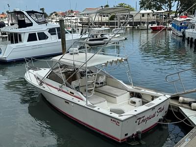 BOATZON | Blackfin 29 COMBI EXPRESS 1985 BOATZON | Blackfin 29 COMBI EXPRESS 1985