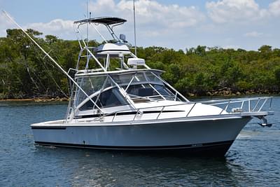 BOATZON | Blackfin Combi 33 1995