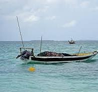 BOATZON | boats