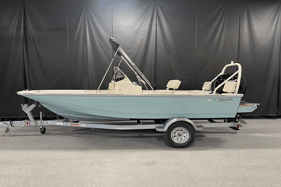 BOATZON | Boston Whaler 170 Montauk 2025