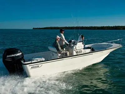 BOATZON | Boston Whaler 190 Montauk 2017 BOATZON | Boston Whaler 190 Montauk 2017