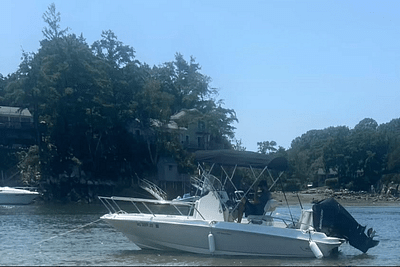 BOATZON | Boston Whaler 210 DAUNTLESS 2019