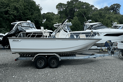 BOATZON | Boston Whaler 210 Montauk 2024