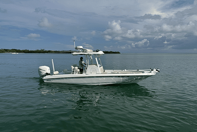 BOATZON | Boston Whaler 240 DAUNTLESS PRO 2018