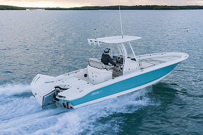 BOATZON | Boston Whaler 250 Dauntless 2025