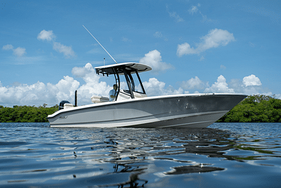 BOATZON | Boston Whaler 250 Dauntless 2025