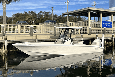 BOATZON | Boston Whaler 250 Dauntless 2025