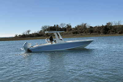 BOATZON | Boston Whaler 250 Dauntless 2025