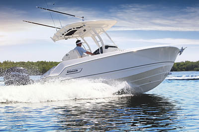 BOATZON | Boston Whaler 380 OUTAGE 2025