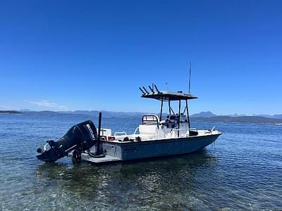 BOATZON | Boston Whaler Guardian 22 2002