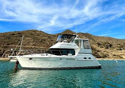 BOATZON | Carver 356 Aft Cabin Motor Yacht 1999