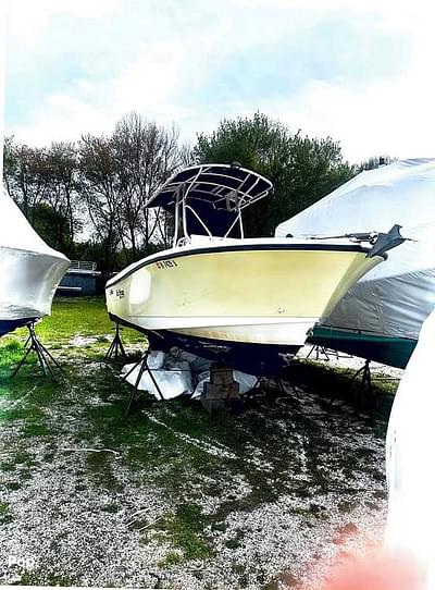 BOATZON | Edgewater 228 CC