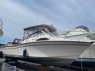 BOATZON | Grady-White Marlin 300 2004