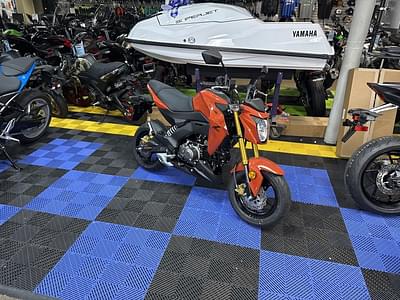 BOATZON | Kawasaki Z125 PRO 2025