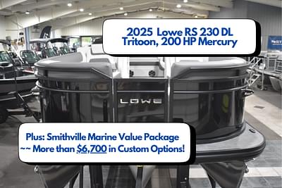 BOATZON | Lowe RS 230 DL Tritoon 2025