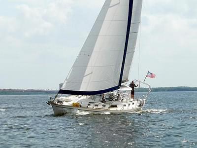 BOATZON | Morgan 43 CC