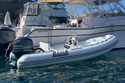 BOATZON | Novurania DL 430 2025 BOATZON | Novurania DL 430 2025