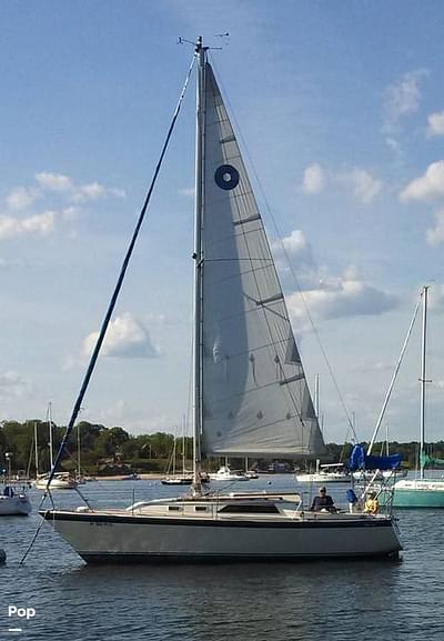 BOATZON | Oday 28 BOATZON | Oday 28