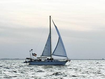 BOATZON | Oday 37 BOATZON | Oday 37
