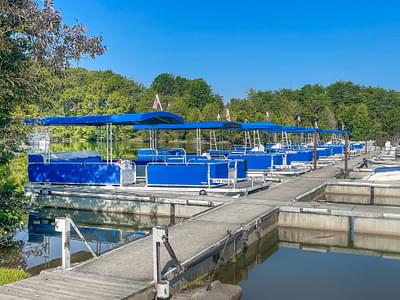 BOATZON |  Pontoon Rental Fleet 2000