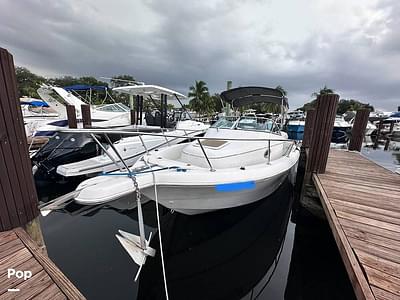 BOATZON | ProLine 241 walkaround BOATZON | ProLine 241 walkaround