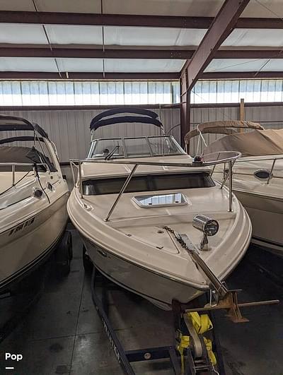 BOATZON | Regal Windows Express BOATZON | Regal Windows Express
