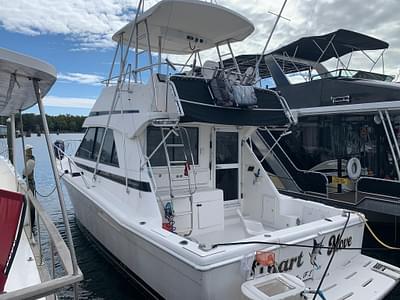 BOATZON | 2000 Riviera 34 Convertible