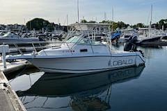 BOATZON | Robalo 2440 Walkaround 1999 BOATZON | Robalo 2440 Walkaround 1999