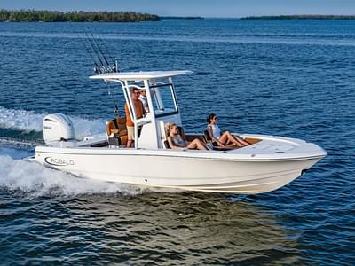 BOATZON | Robalo 246 Cayman 2025