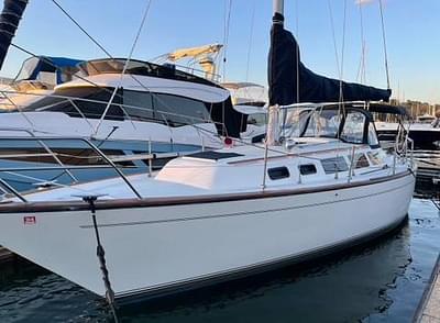 BOATZON | S2 36 1986 BOATZON | S2 36 1986