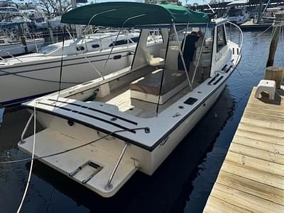 BOATZON | Sabalo 26 2001