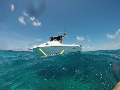 BOATZON | Sailfish 234 WAC 2004