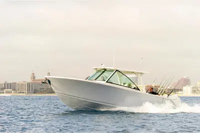 BOATZON | Sailfish 316DC 2026 BOATZON | Sailfish 316DC 2026