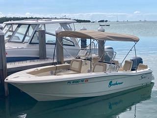 BOATZON | Scout 195 Sport Dorado 2022