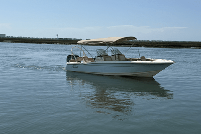 BOATZON | Scout 195 Sport Dorado 2025 BOATZON | Scout 195 Sport Dorado 2025
