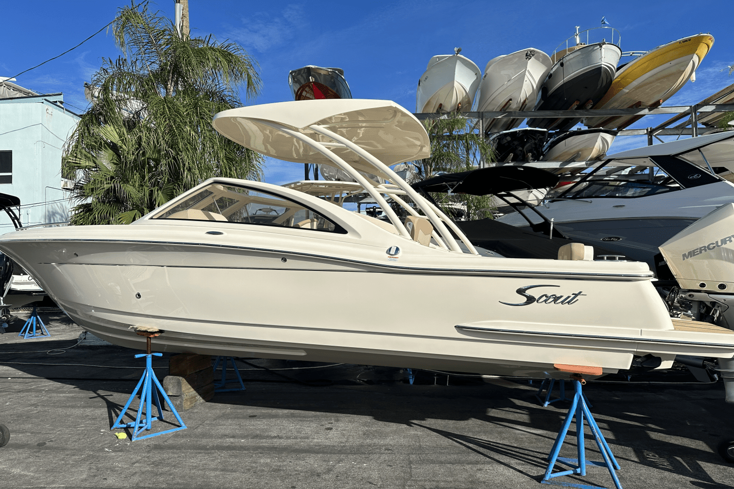 BOATZON | Scout 240 Dorado 2024