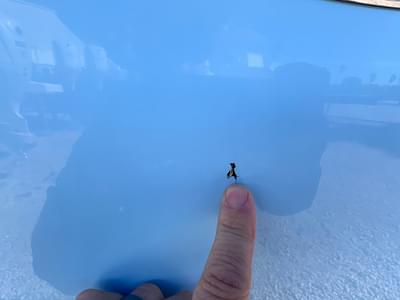 thumbail-icon