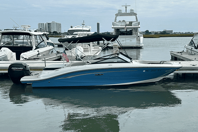 BOATZON | Sea Ray 190 SPX OB 2022