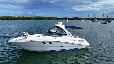 BOATZON | Sea Ray 310 Sundancer 2009