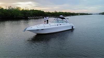 BOATZON | Sea Ray Express Cruiser