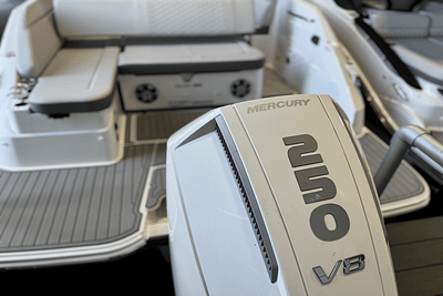 BOATZON | Sea Ray SDX 250 Outboard 2024