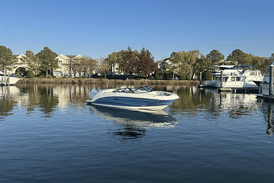 BOATZON | Sea Ray SDX 250 Outboard 2024