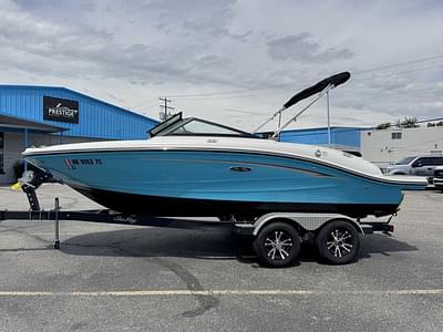 BOATZON | Sea Ray SPX 190 2022 BOATZON | Sea Ray SPX 190 2022