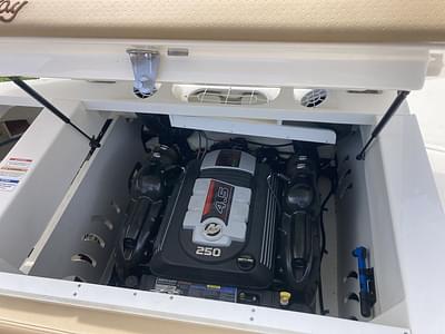 BOATZON | Sea Ray SPX 230 2019 BOATZON | Sea Ray SPX 230 2019